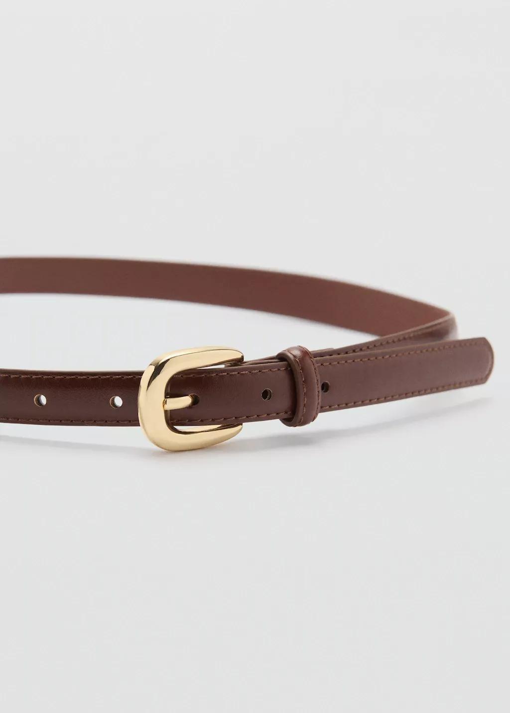 Brown Thin Belt With Metal Buckle, , large image number 1