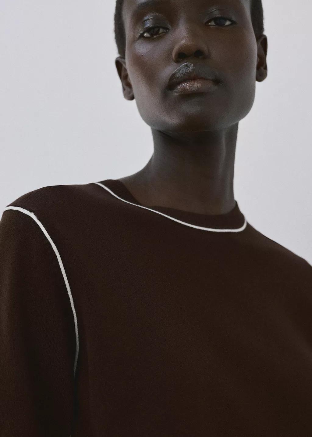 Brown Fine Knit Sweater With Contrasting Stripes, 0201_32, large image number 4