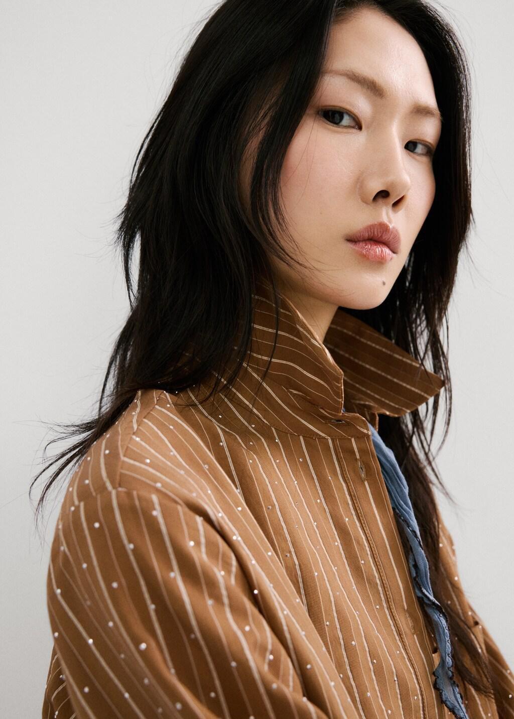 Brown Striped Shirt With Rhinestone Detail, Brown, large image number 4