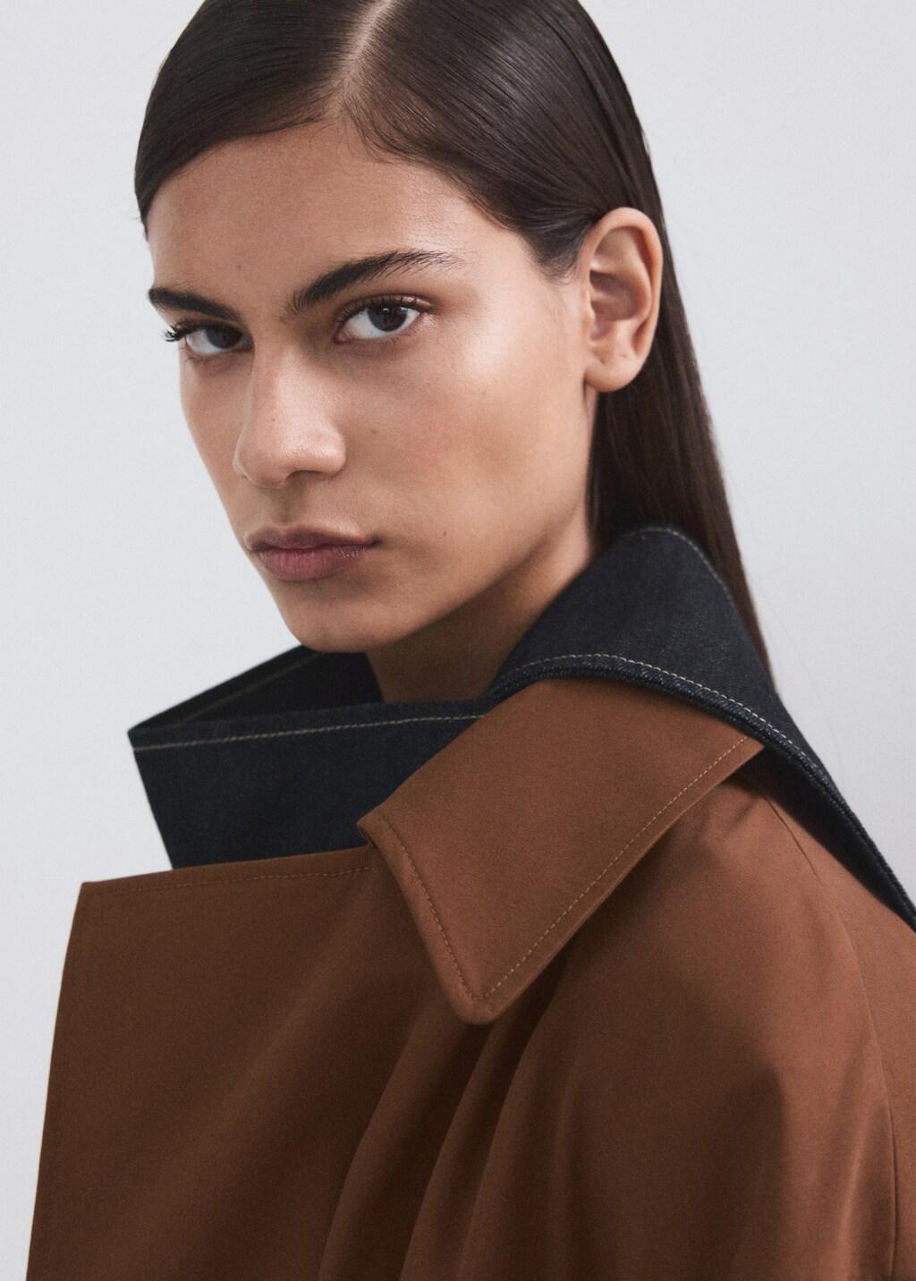 Brown Long Double-Breasted Trench Coat, Brown, large image number 4