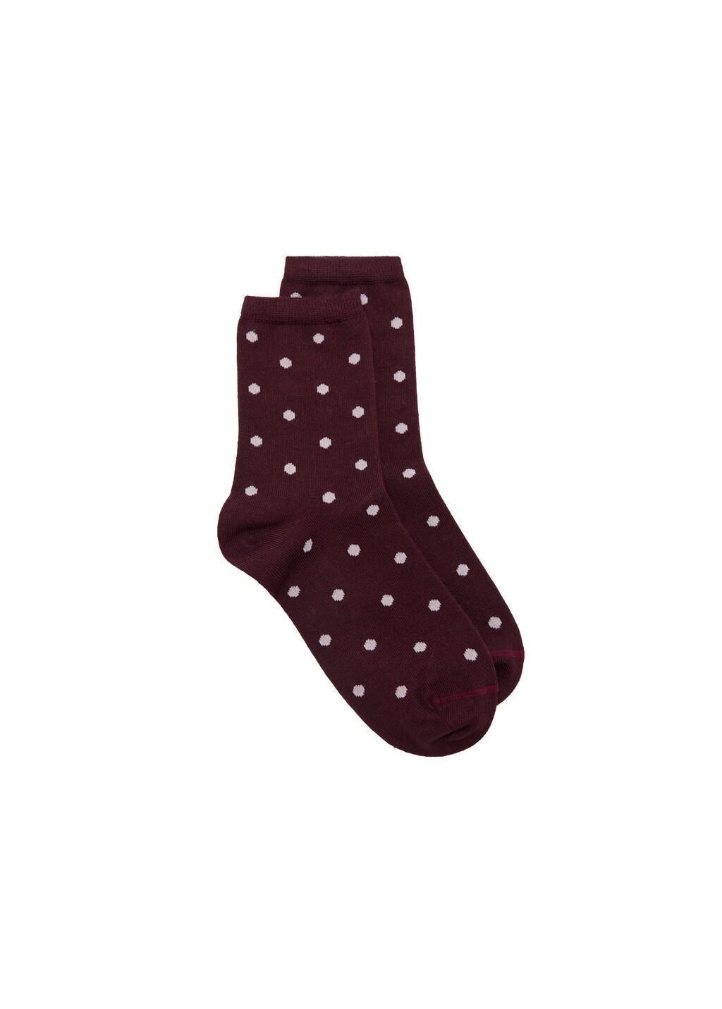Burgundy Polka Dot Socks, Dark Red, large image number 2
