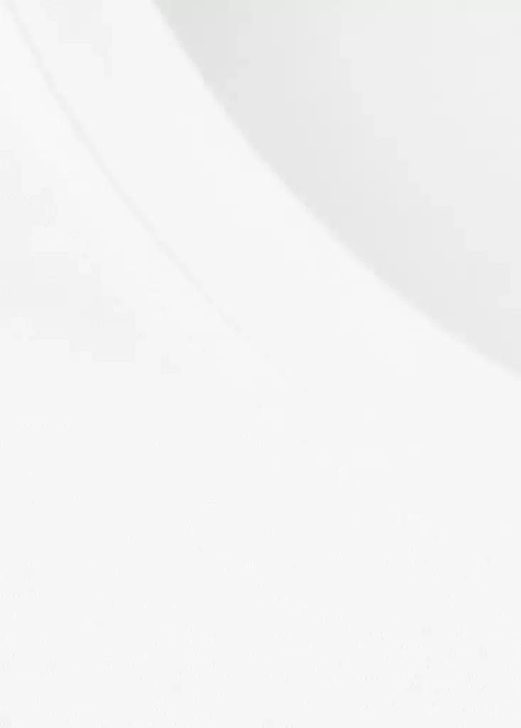WHITE Regular fit T-shirt 190gsm, White, large image number 10