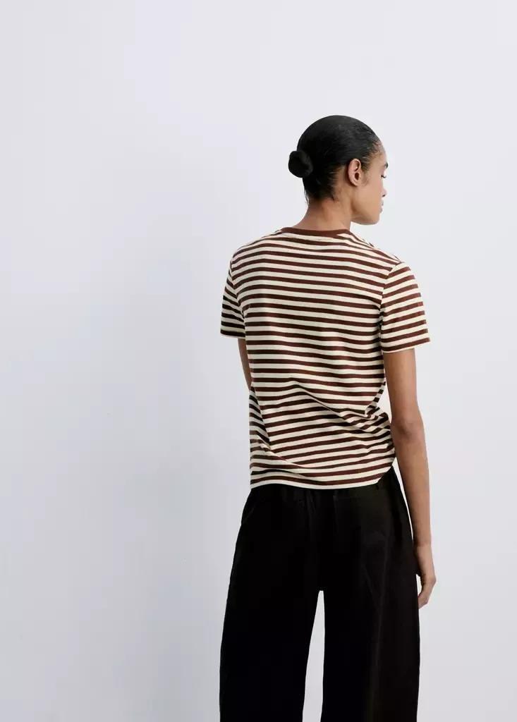 Brown Striped Cotton T-Shirt, Brown, medium