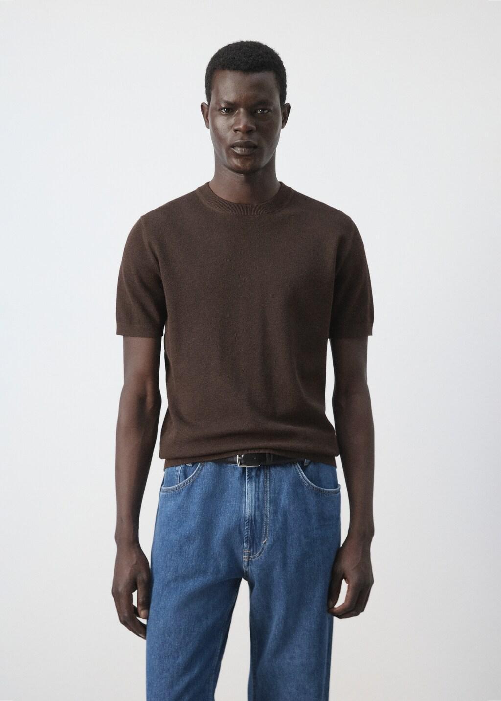 Brown Regular Fit Jersey T-Shirt, Brown, large image number 3