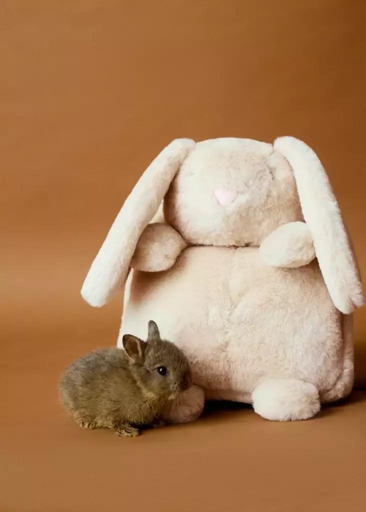 Beige Bunny Backpack, Light Pastel Brown, medium