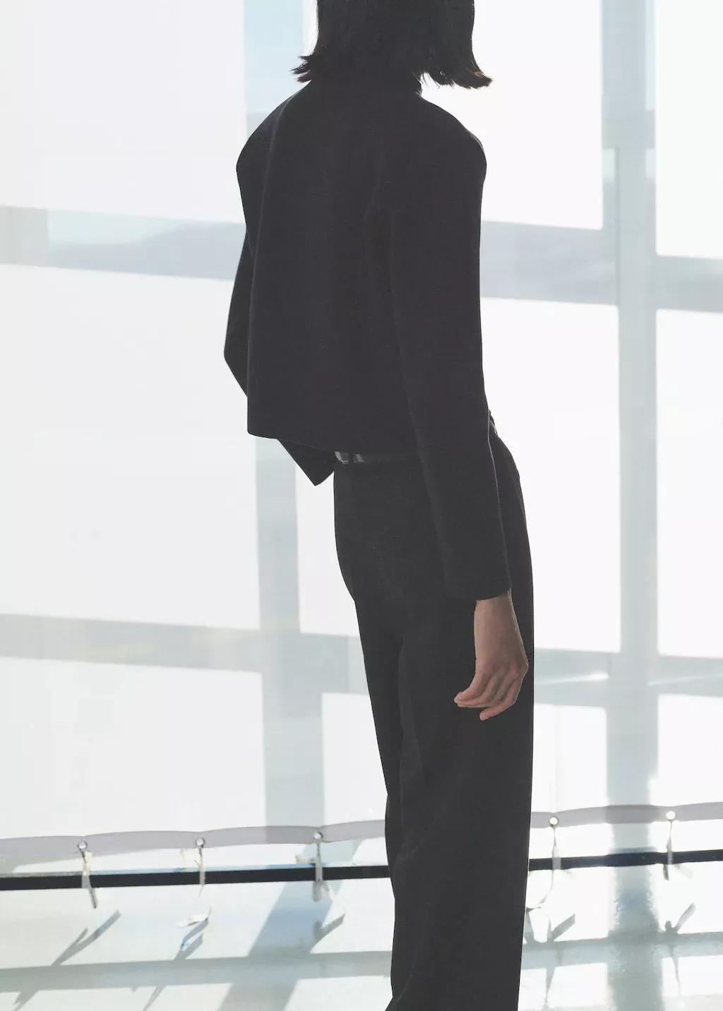 Black Plain Casual Jacket, , large image number 5