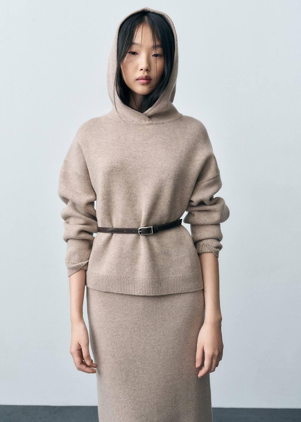 Brown Lt Pastel Wool-Blend Hooded Sweater, , large image number 0