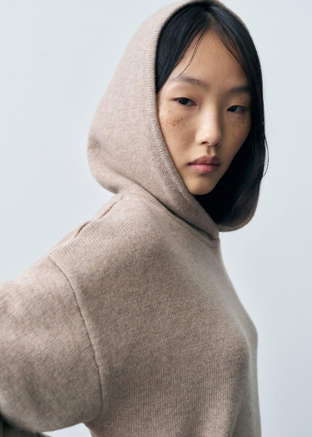 Brown Lt Pastel Wool-Blend Hooded Sweater, , large image number 1