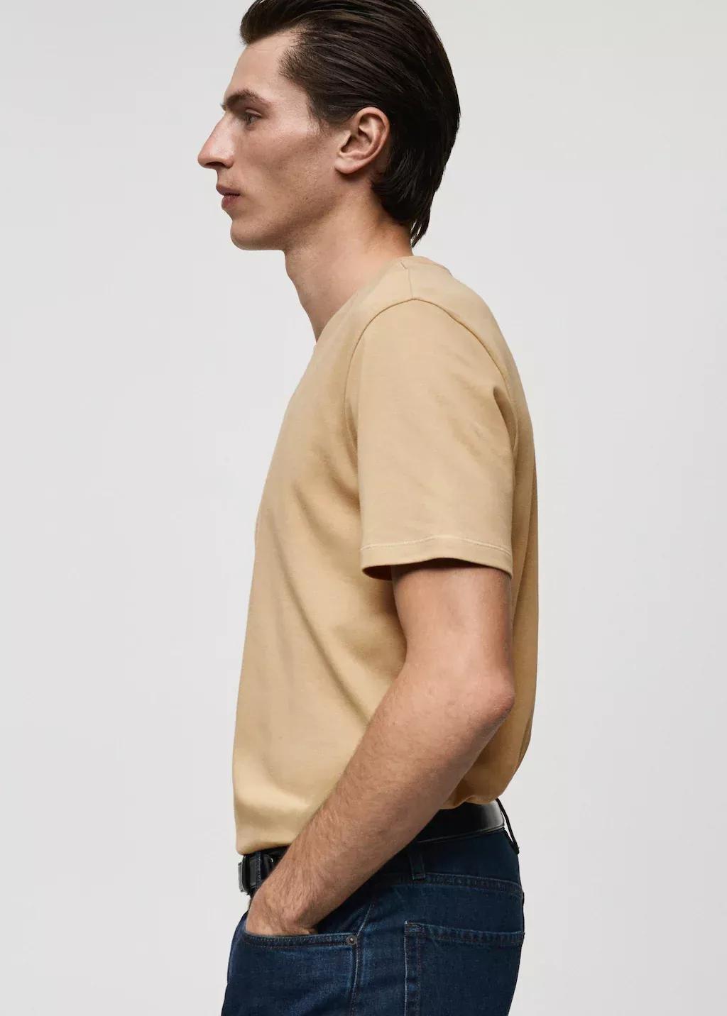 Brown 100% Cotton T-Shirt Regular Fit, , large image number 3