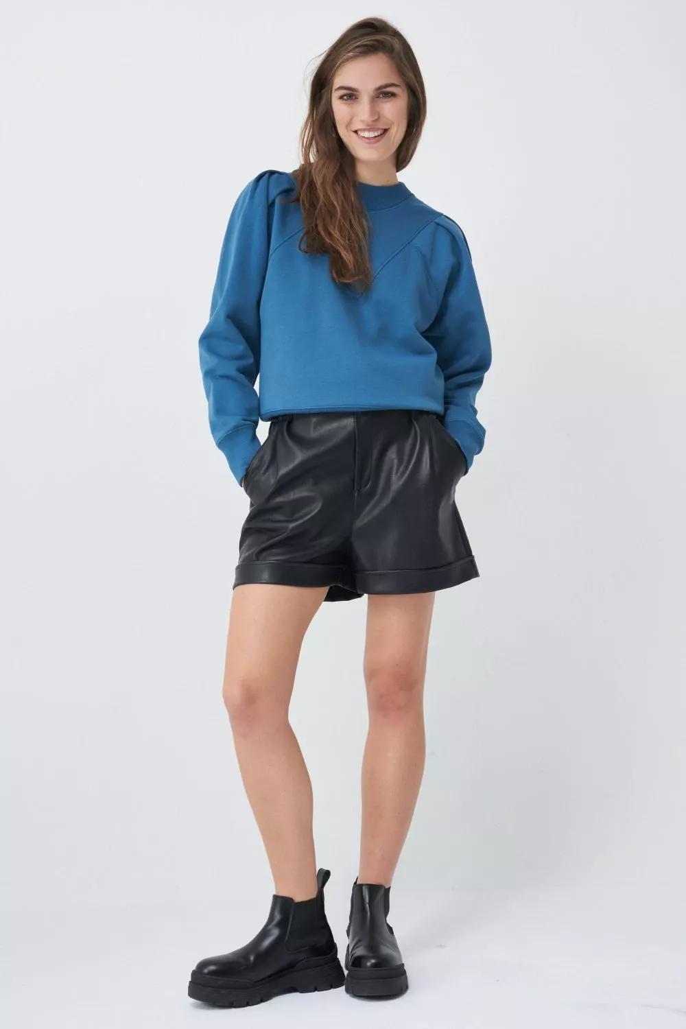 Blue Seam Details Sweatshirt, , large image number 5