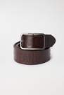 Salsa Jeans - Brown Leather Belt With Salsa Logo