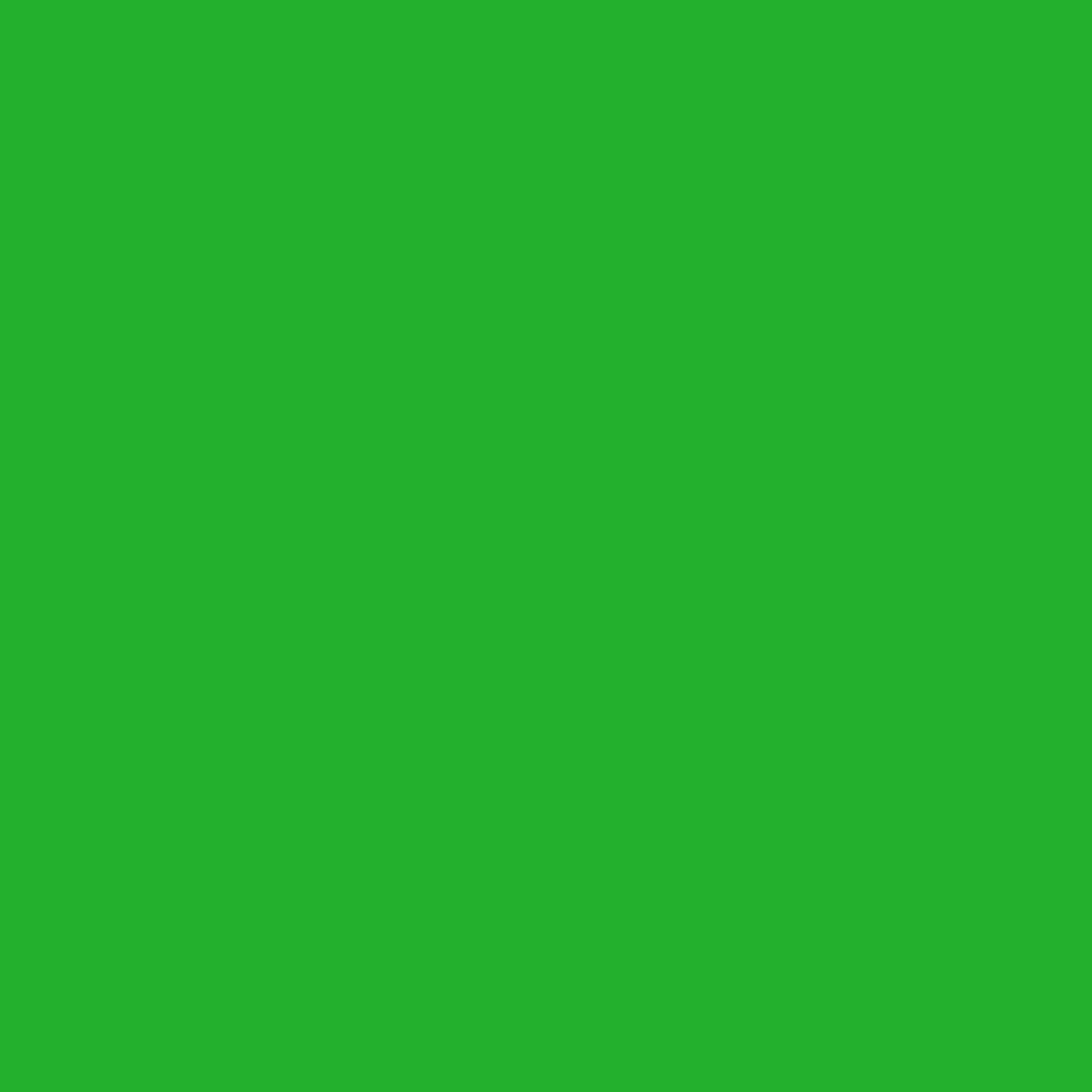 Regular S-Activ Shorts With Drawstring , Green, large image number 5