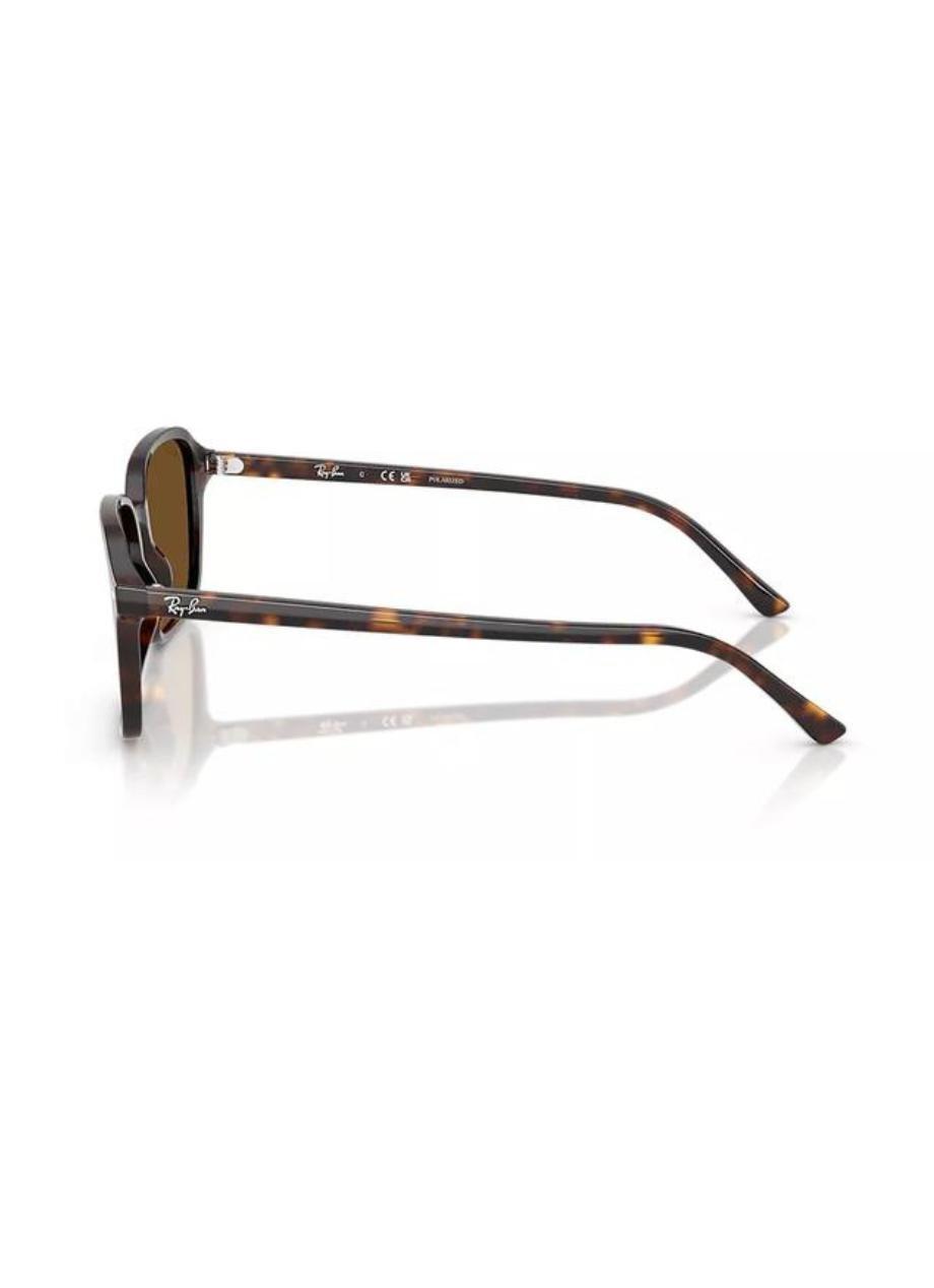 RB2231 Raimond Ray-Ban Tortoise/Brown XL, 2901_000, large image number 2