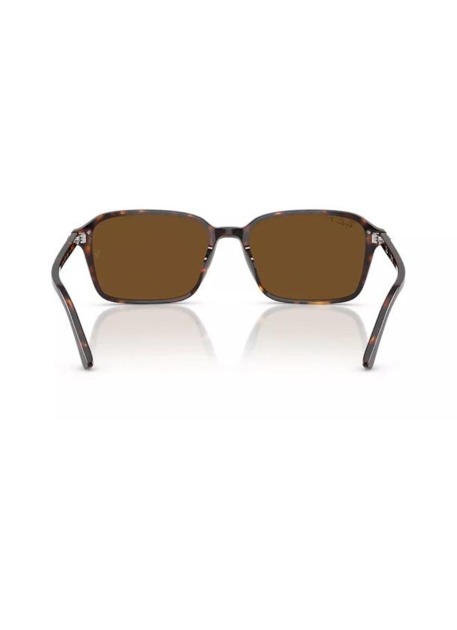 RB2231 Raimond Ray-Ban Tortoise/Brown XL, 2901_000, large image number 3