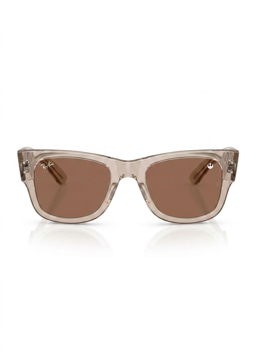 RB0840S RAY-BAN Brown M, 2901_000, medium