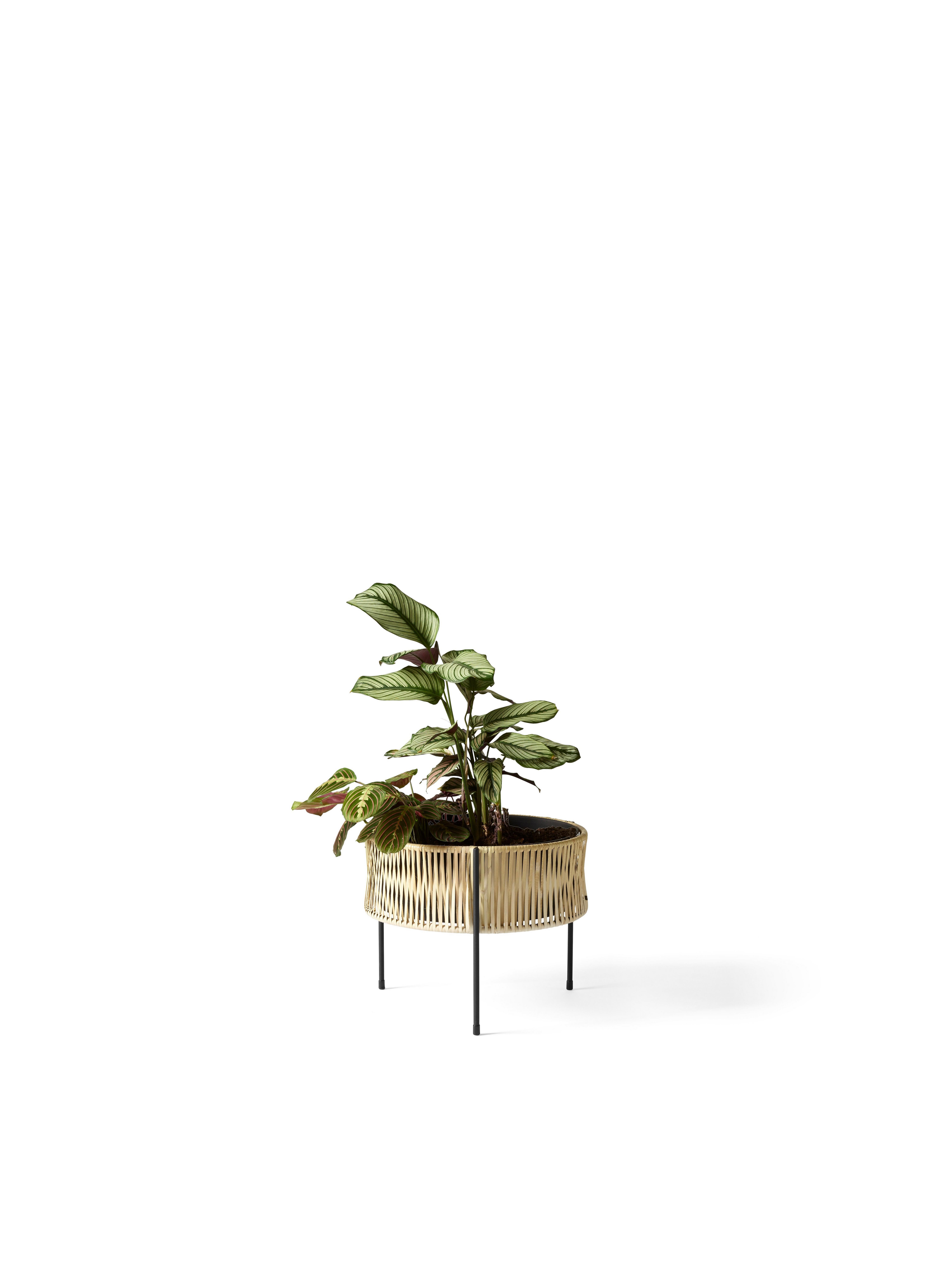 Umanoff Planter Medium, , large image number 3