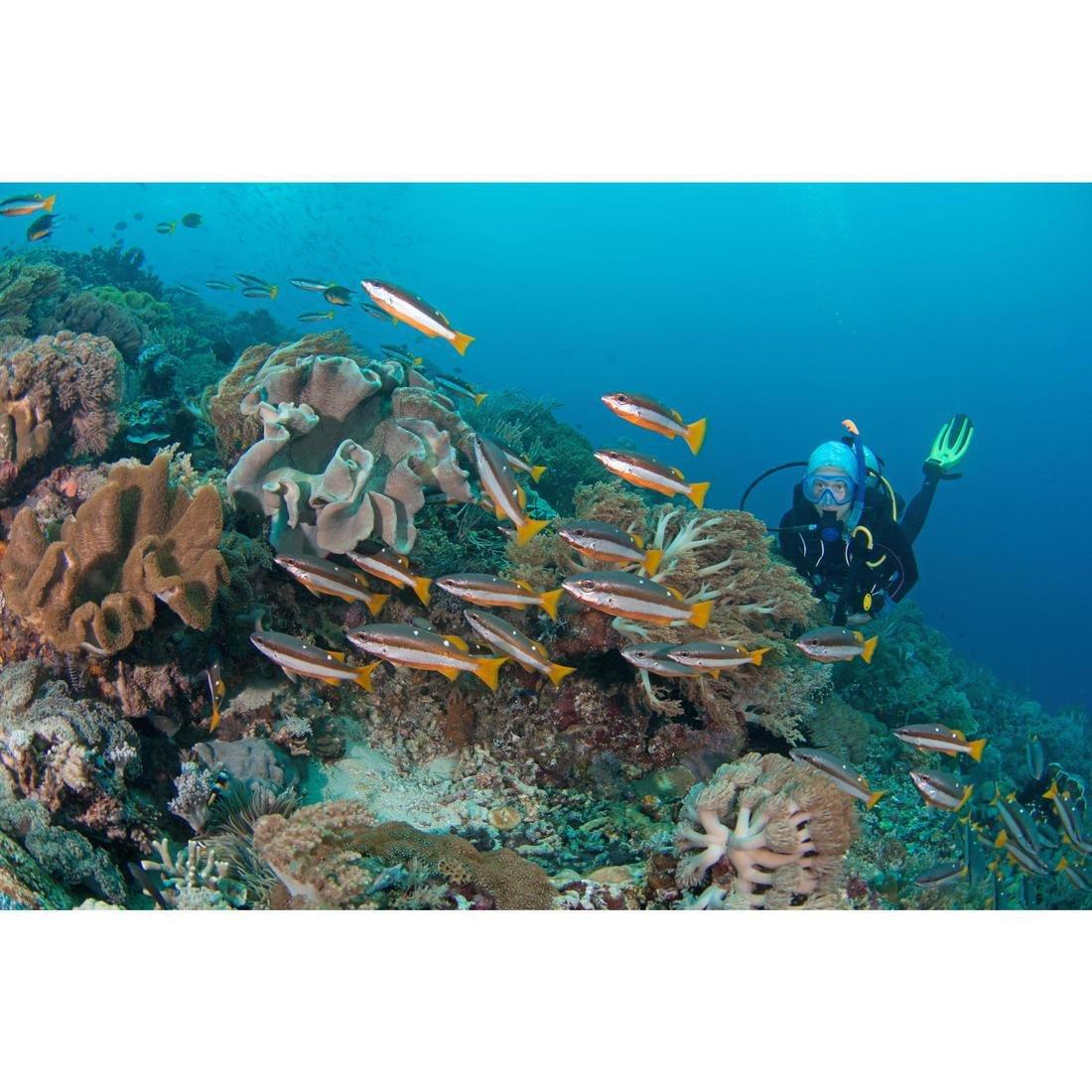 100 Adult Diving or Snorkelling Mask - Blue Title, No Color, large image number 3