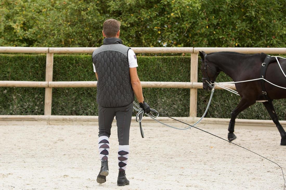 Horse Riding Lunging Whip For Horse And Pony, Black, No Color, medium