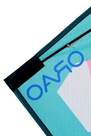 ORAO - 2-In-1 Progressive (Stunt Static) - Izypilot 100, Fluo Peach