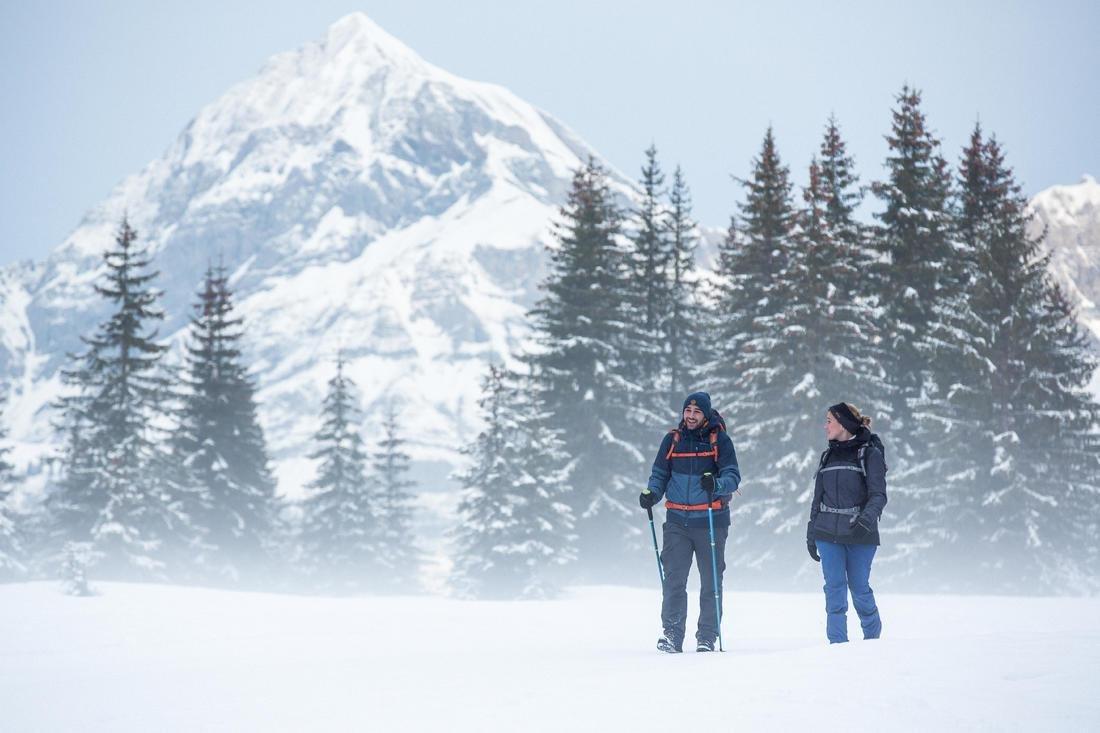 جاكيت شتوي رجالي متوسط ​​الحجم ومقاوم للماء للمشي لمسافات طويلة - SH100 X-Warm -10 &deg; C ، رمادي كربوني, No Color, large image number 12
