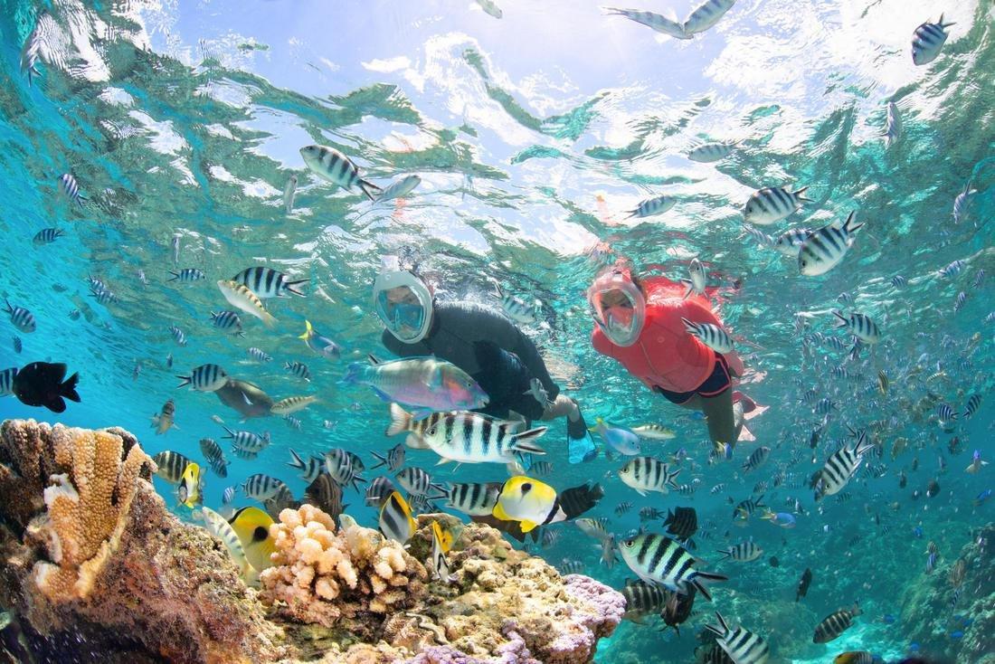 قناع 500 إيزي بريث السطحي للبالغين، باللون الوردي، مقاس ML, No Color, large image number 9