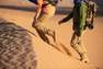 FORCLAZ - EU 43  Unisex Desert Trekking Sand-Proof Boots Desert 500 - Brown