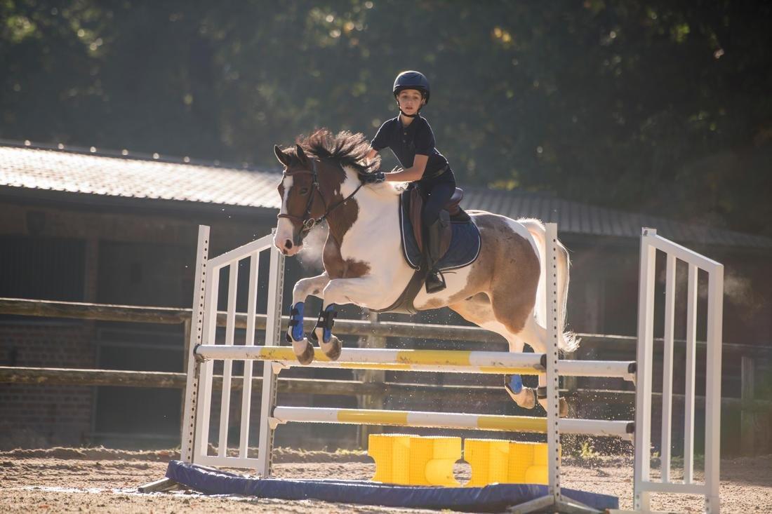 ASPHALT BLUE 140 Boys' Horse Riding Short-Sleeved Polo Shirt, No Color, large image number 7