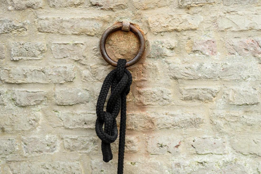 Tack Horse Riding 2M Leadrope For Horse And Pony, Black, , large image number 8