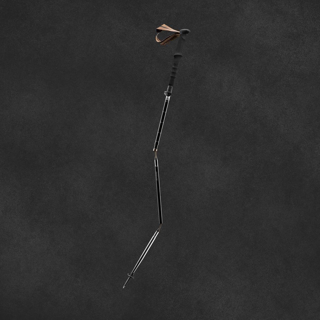 Ultra-Compact Walking Pole - Black, No Color, large image number 1