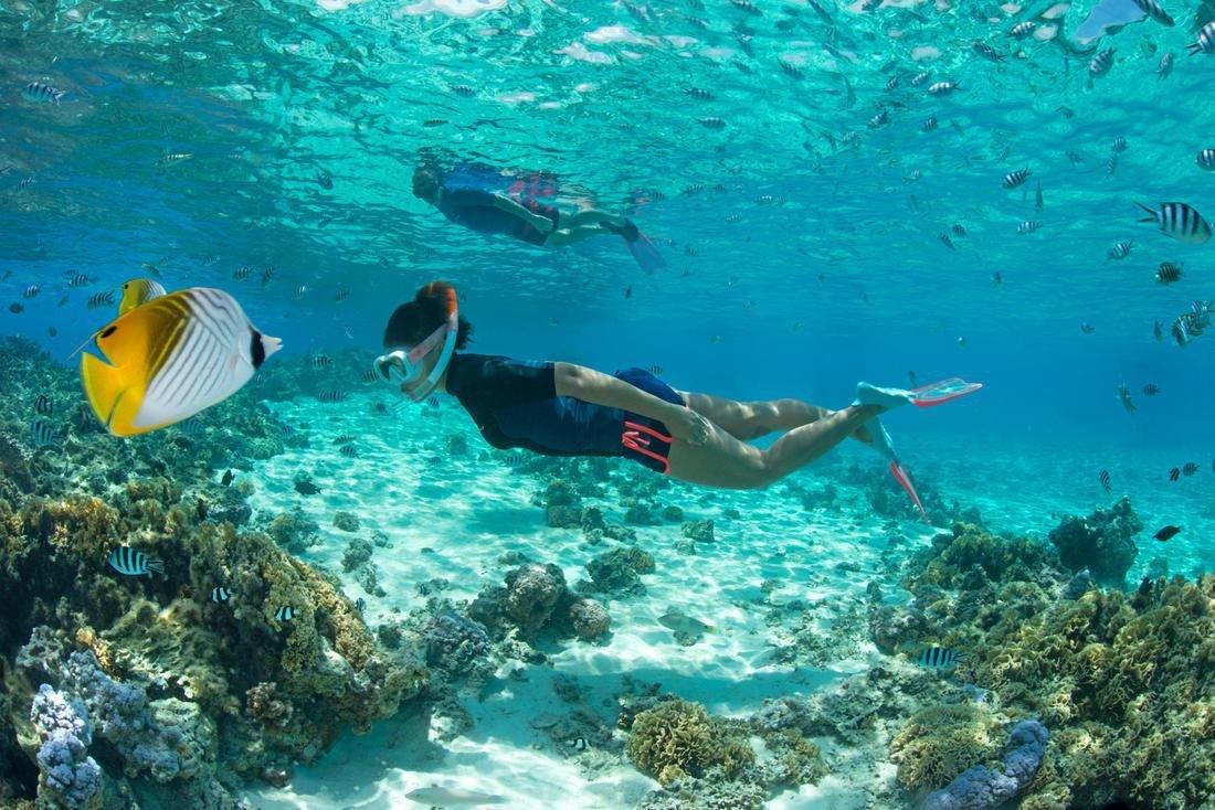 قناع الغطس للكبار، أزرق، اس ان كي 520, No Color, large image number 5