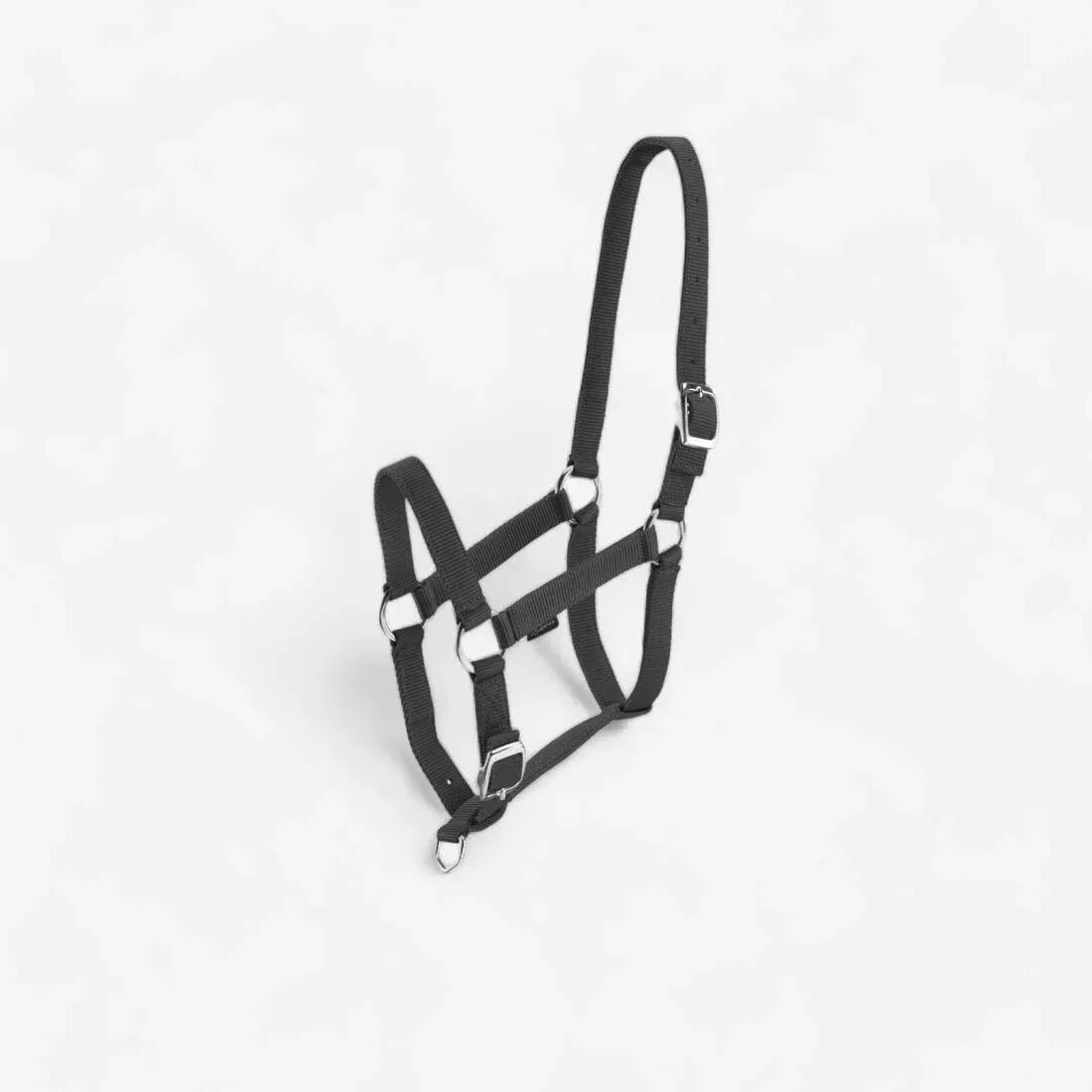 Schooling Horse Riding Halter For Horse And Pony, Black, No Color, large image number 0