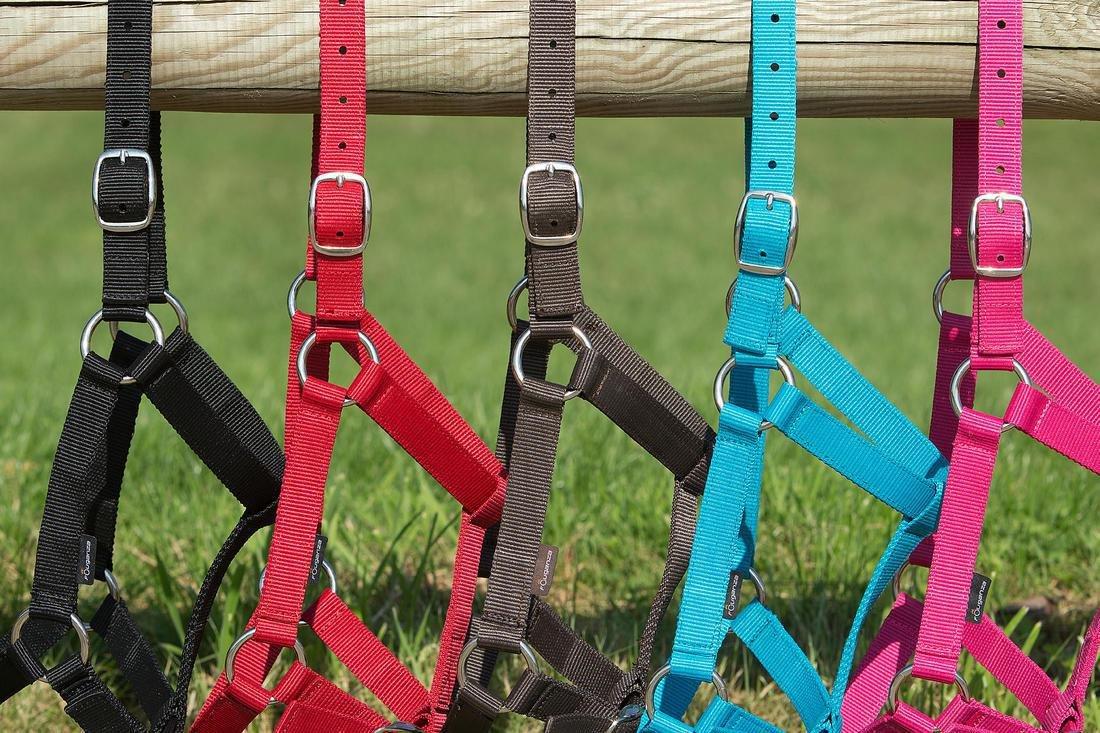Schooling Horse Riding Halter For Horse Or Pony, Red, , large image number 3