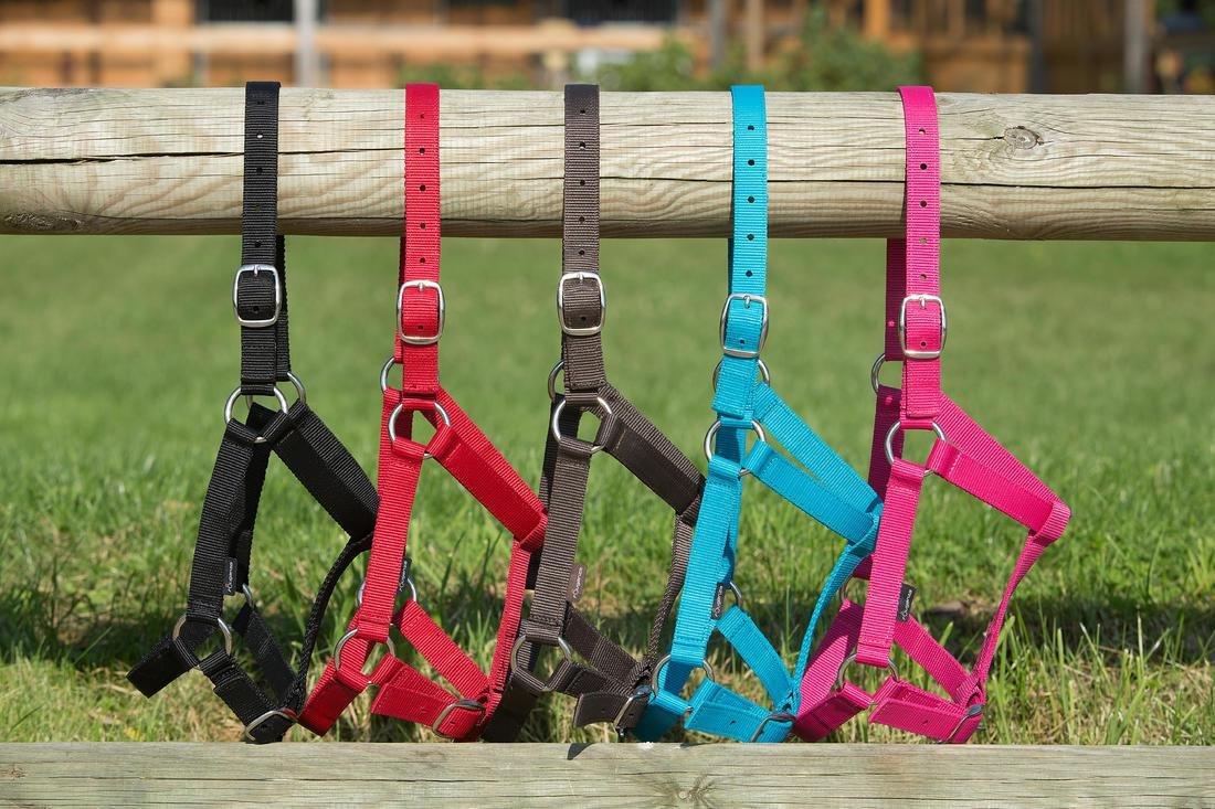 Schooling Horse Riding Halter For Horse Or Pony, Red, , large image number 4