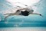NABAIJI - Large  Swimming Goggles Soft - Size L - Shaded Lenses, Black