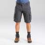 FORCLAZ - Small Men's Travel Trekking Cargo Shorts - TRAVEL 100, Carbon Grey
