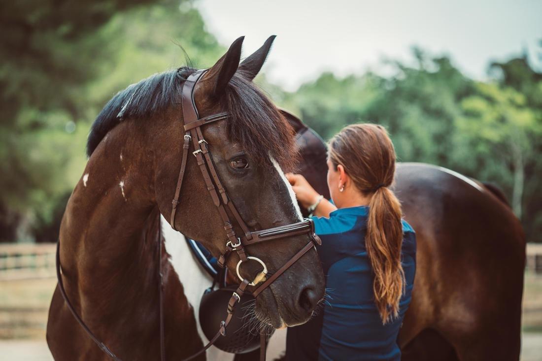 تي شيرت بولو ميش 500 بأكمام قصيرة لركوب الخيل للسيدات، كحلي داكن وأزرق داكن، مقاس S, , large image number 1