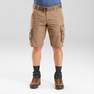 FORCLAZ - Small  Men's Travel Trekking Cargo Shorts - TRAVEL 100, Brown