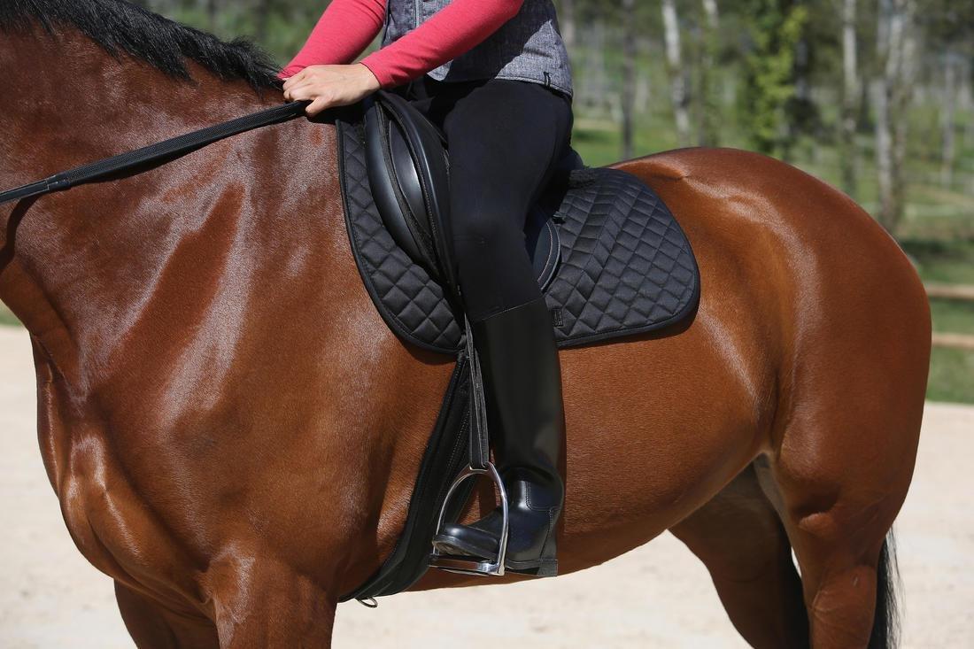 Schooling Adult Horse RidingLong Boots, Black, , large image number 8