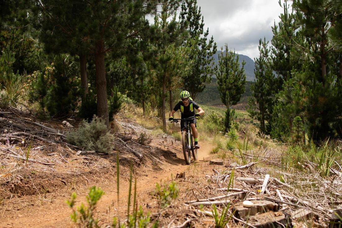 XL - 185-200cm  27.5 Mountain Bike ST 520 V2 - Black, Black, No Color, large image number 14