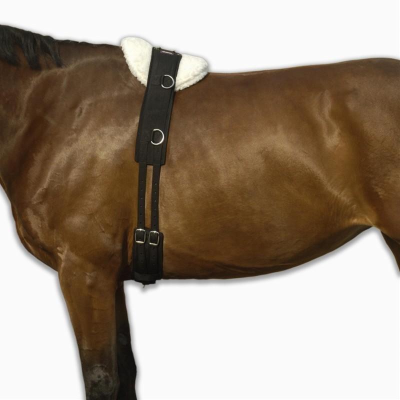 Horse Riding Horse Or Pony Lunging Roller, Black, , large image number 0