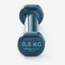 NYAMBA - 0.5 Kg  Fitness 0.5 Kg Dumbbells Twin-Pack - Turquoise