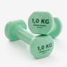 NYAMBA - 1 Kg  Fitness 1 kg Dumbbells Twin-Pack, Emerald Green