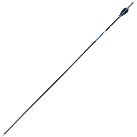 GEOLOGIC - 1200  Club 500 Archery Arrow
