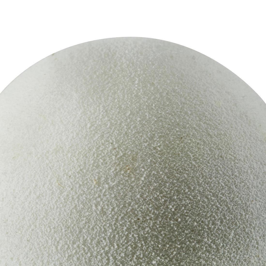 Plastic Shuttlecock Psc 100 X 1 Single-Pack, Green, , large image number 7