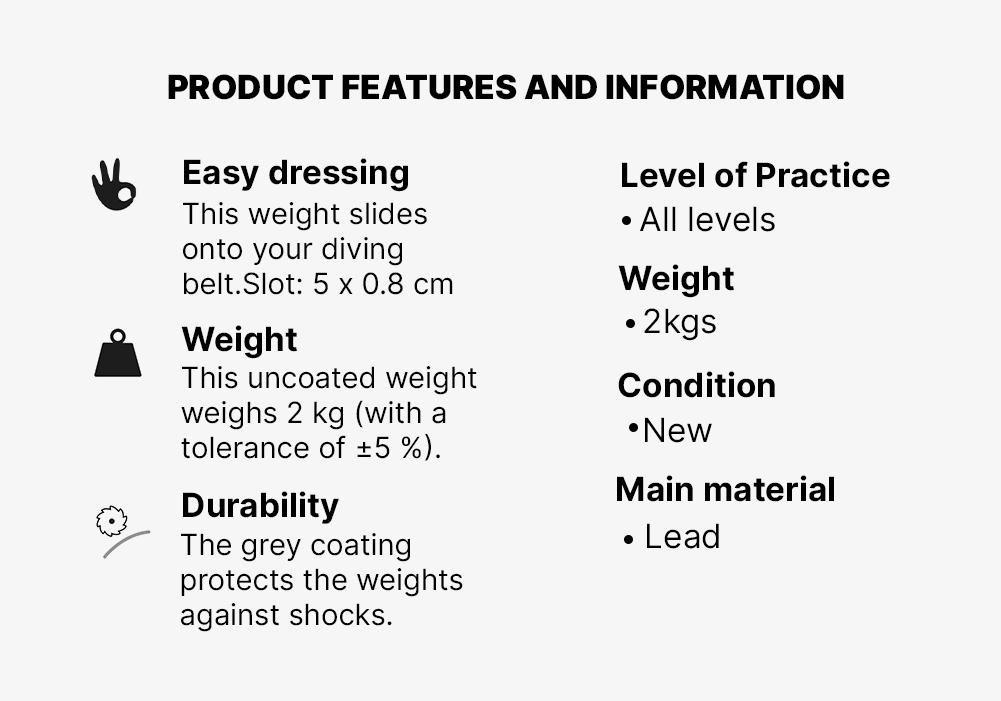 Coated Diving Weight, Spearfishing, Freediving, Grey, No Color, medium