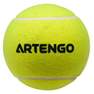 ARTENGO - Jumbo Tennis Ball, Yellow