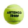 ARTENGO - Tennis Balls Twin 4-Pack Tb920, Yellow