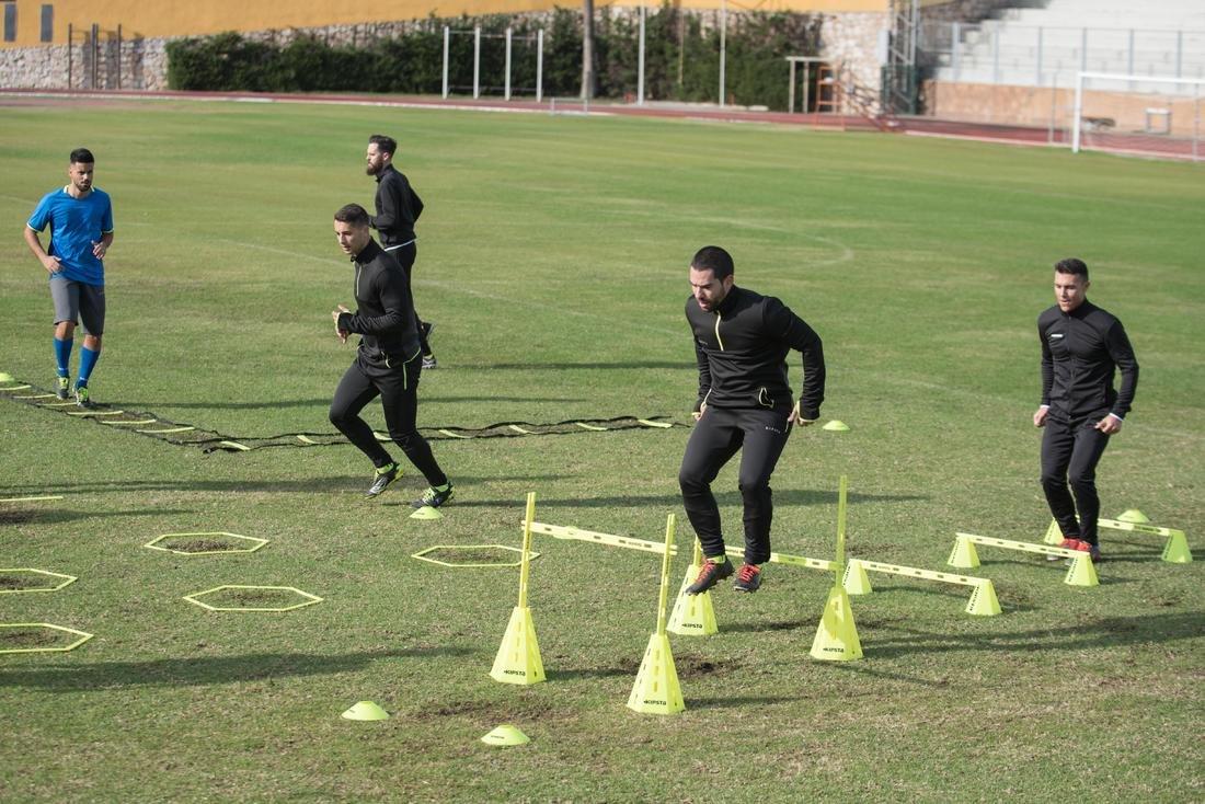 Modular 4-Metre Agility Training Ladder, 5401_000, medium