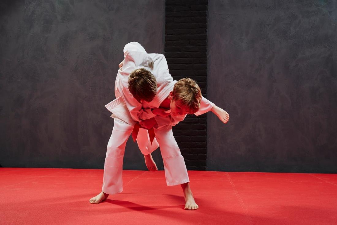 Kids Unisex Judo Aikido Uniform - 500, White, , large image number 2