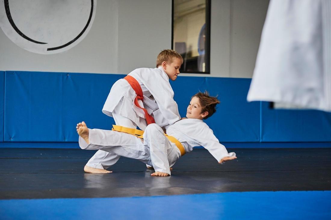 Kids Unisex Judo Aikido Uniform - 500, White, , large image number 13